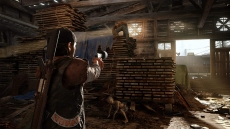 Days Gone [Special Edition] {PlayStation 4}