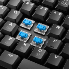 Sharkoon PureWriter TKL RGB [Kailh Blue] (Gaming-Tastatur)