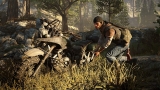 Days Gone {PlayStation 4}