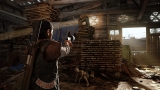 Days Gone [Special Edition] {PlayStation 4}